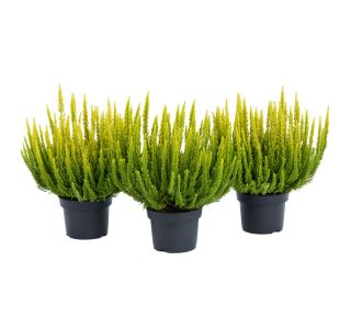 JESENSKA VRESA SKYLINE BARCELONA L10.5 CM