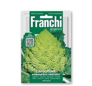 KAPUSNICA FRANCHI SEMENTI CVETAČA