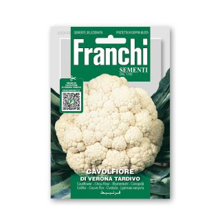 KAPUSNICA FRANCHI SEMENTI CVETAČA VERONA