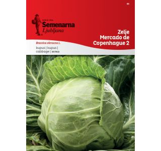 KAPUSNICA SEMENARNA ZELJE MERCADO COPENHAGUE2 35