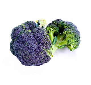KAPUSNICE BROKOLI L10 CM