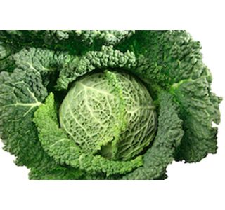 KAPUSNICE OHROVT GLAVNATI 6 KOS