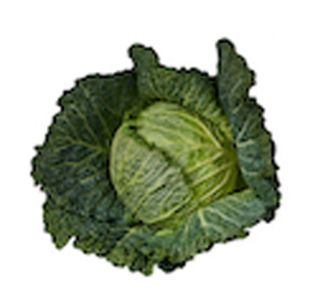 KAPUSNICE OHROVT GLAVNATI L10 CM