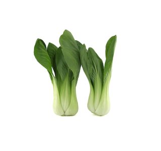 KAPUSNICE PAK-CHOI L10 CM