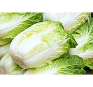 KAPUSNICE ZELJE KITAJSKO 6 KOS