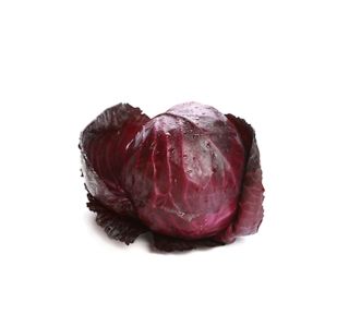 KAPUSNICE ZELJE RDEČE L10 CM