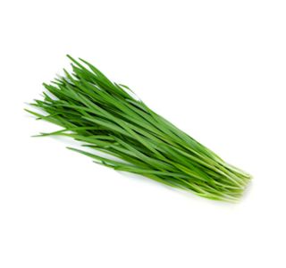 KORENOVKE KORENČEK L10 CM