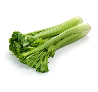 KORENOVKE L'ORTO FRUTTIFERO ZELENA COSTA VERDE 4/1 DARKLET KULTIPAK