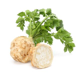 KORENOVKE L'ORTO FRUTTIFERO ZELENA GOMOLJNA 4/1 ROWENA F1 KULTIPAK