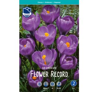 KROKUS FLOWER RECORD