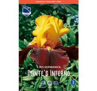 L IRIS (PERUNIKA) DANTE'S INFERNO