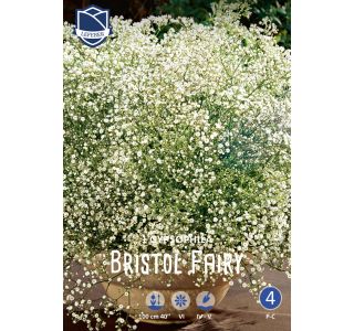 L ŠLAJER BRISTOL FAIRY