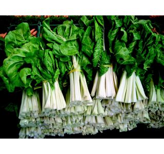 LISTNA ZELENJAVA BLITVA 9 KOS DELTA