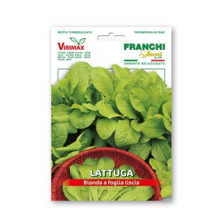 SOLATA BIONDA A FOGLIA LISCIA