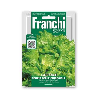 LISTNA ZELENJAVA FRANCHI SEMENTI SOLATA LEDENKA REGINA DELLE GHIACCOLE