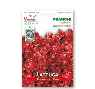 SOLATA ROSSA RICCIOLINA DA TAGLIO