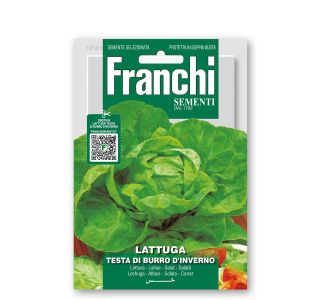 SOLATA TESTA DI BURRO.