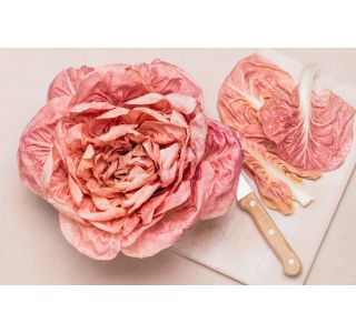 LISTNA ZELENJAVA L'ORTO FRUTTIFERO RDEČI RADIČ 8/1 ROSALBA KUBET