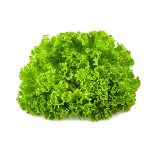 LISTNA ZELENJAVA L'ORTO FRUTTIFERO SOLATA GENTILINA ZELE.8/1 GIANINA KUBET