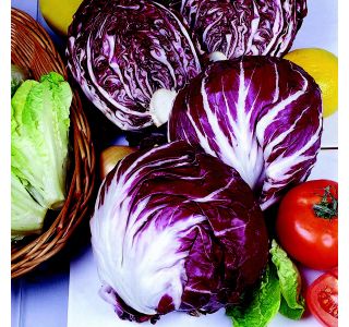 RADIČ 9 KOS RALLA ROSSA 2