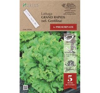 SEME NA TRAKU GENTILINA (3X1.67M)