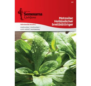 LISTNA ZELENJAVA SEMENARNA MOTOVILEC HOLLANDISCHER BREITBLATTR. 457