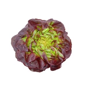 LISTNA ZELENJAVA SOLATA MEHKOLISTNA 9 KOS