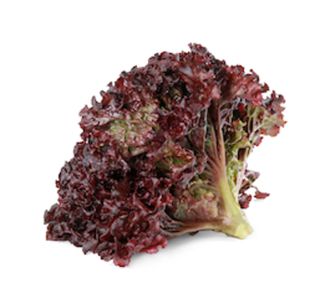 LISTNA ZELENJAVA SOLATA RDEČA 9 KOS