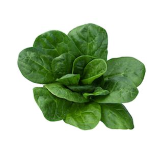 LISTNA ZELENJAVA ŠPINAČA 9 KOS