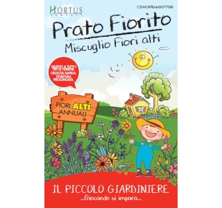 MEŠANICA TRAV Z NIZKIMI ENOLETNICAMI MEŠANICA TRAV Z NIZKIMI ENOLETNICAMI