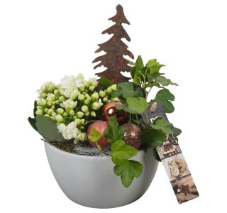 NASAD ZIMSKI NOTRANJI PTCHB9743 L14 CM