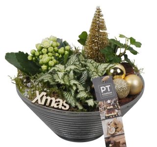 NASAD ZIMSKI NOTRANJI PTCHG5711 L19 CM