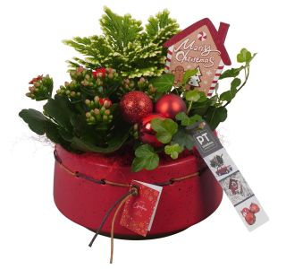 NASAD ZIMSKI NOTRANJI PTCHR7204 L17 CM