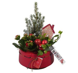 NASAD ZIMSKI NOTRANJI PTCHR7206 L17 CM