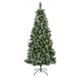 NOVOLETNA JELKA EVERLANDS 240 CM LEDENA S STORŽI NORWICH PINE