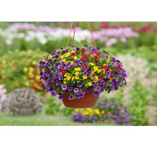 OBEŠANKA OBEŠANKA 27 CM