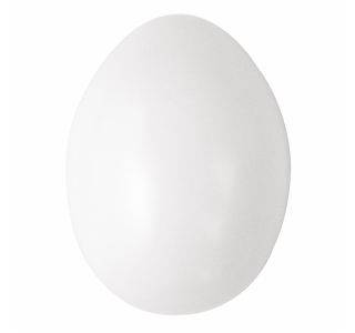 OBLIKE IZ UMETNE MASE RAYHER PLASTIČNA JAJCA 6CM BELA 10 KOSOV