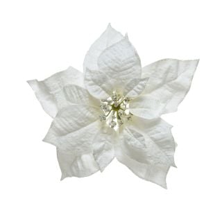 OKRASEK ZA JELKO EVERLANDS BOŽIČNA ZVEZDA NA SPONKI 24 CM, BELA OKRASEK ZA JELKO EVERLANDS BOŽIČNA ZVEZDA NA SPONKI 24 CM, BELA