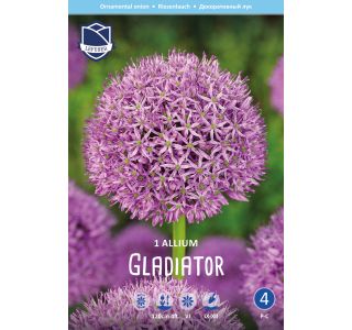 OKRASNI LUK GLADIATOR