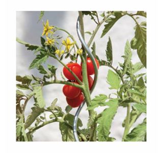 OPORNA PALICA WINDHAGER SPIRALA POCINKANA 180 CM ZA PARADIŽNIK