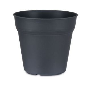 PE SADILNI LONEC KOSMAČ-KRUŠEC EKO 11 CM ANTRACIT