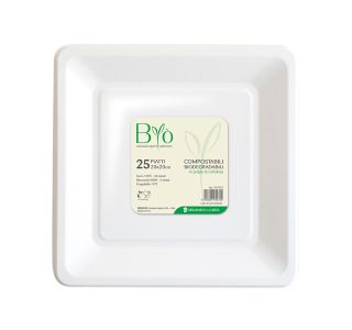 PIKNIK PROGRAM BIO KROŽNIK KVADRAT 20X20 CM 25/1 PIKNIK PROGRAM BIO KROŽNIK KVADRAT 20X20 CM 25/1