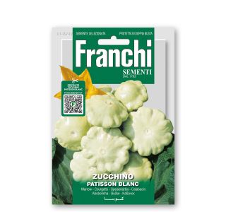 PLODOVKA FRANCHI SEMENTI BUČKA CUSTARD WHITE PLODOVKA FRANCHI SEMENTI BUČKA CUSTARD WHITE