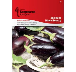 PLODOVKA SEMENARNA JAJČEVEC BLACK BEAUTY 490