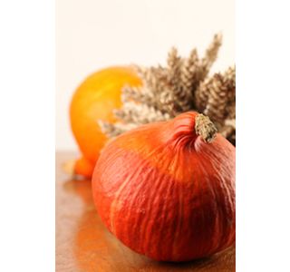 PLODOVKE BUČA 4 KOS