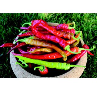 FEFERONI 4 KOS SLADKI LOMBARDO