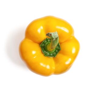 PLODOVKE L'ORTO FRUTTIFERO RUMENA PAPRIKA 4/1 QUADRATO CAMPOR F1 KULTIP