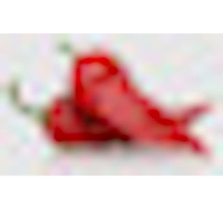 PLODOVKE PAPRIKA PODOLGOVATA 4 KOS