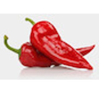 PLODOVKE PAPRIKA ZA PEČENJE L10 CM