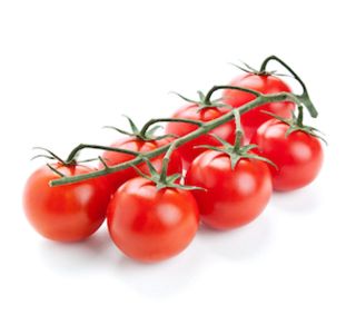 PLODOVKE PARADIŽNIK ČEŠ. HRUŠ. L10 CM